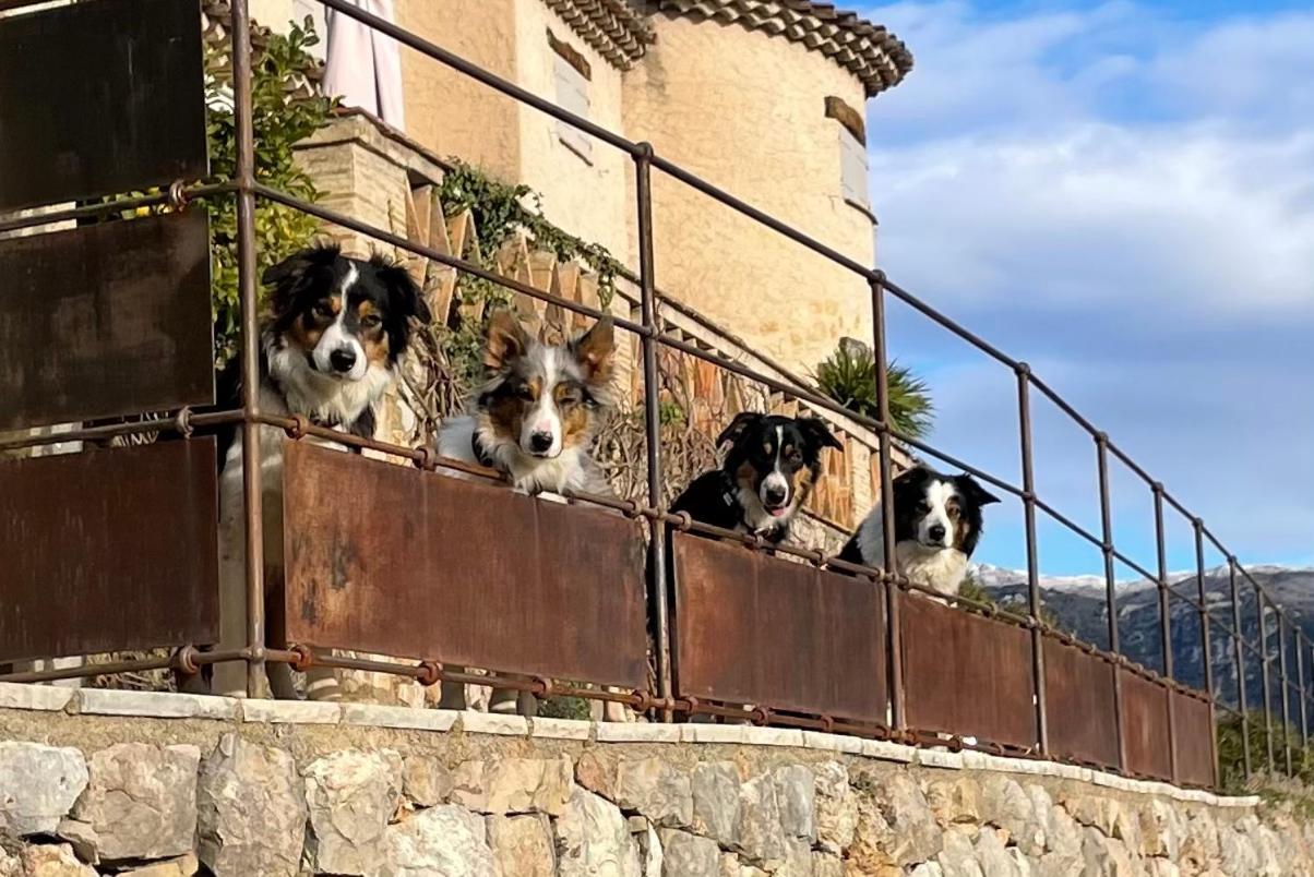 L'Escale Du Ciel Bed & Breakfast Le Bar-sur-Loup Bagian luar foto