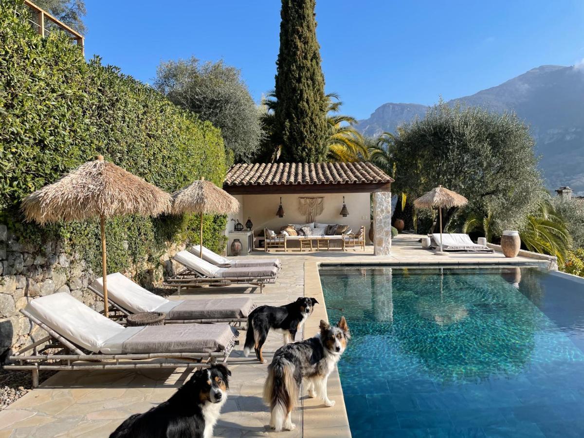 L'Escale Du Ciel Bed & Breakfast Le Bar-sur-Loup Bagian luar foto