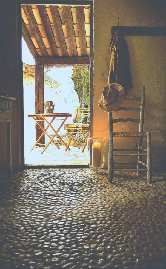 L'Escale Du Ciel Bed & Breakfast Le Bar-sur-Loup Bagian luar foto
